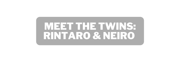 Meet the Twins Rintaro Neiro